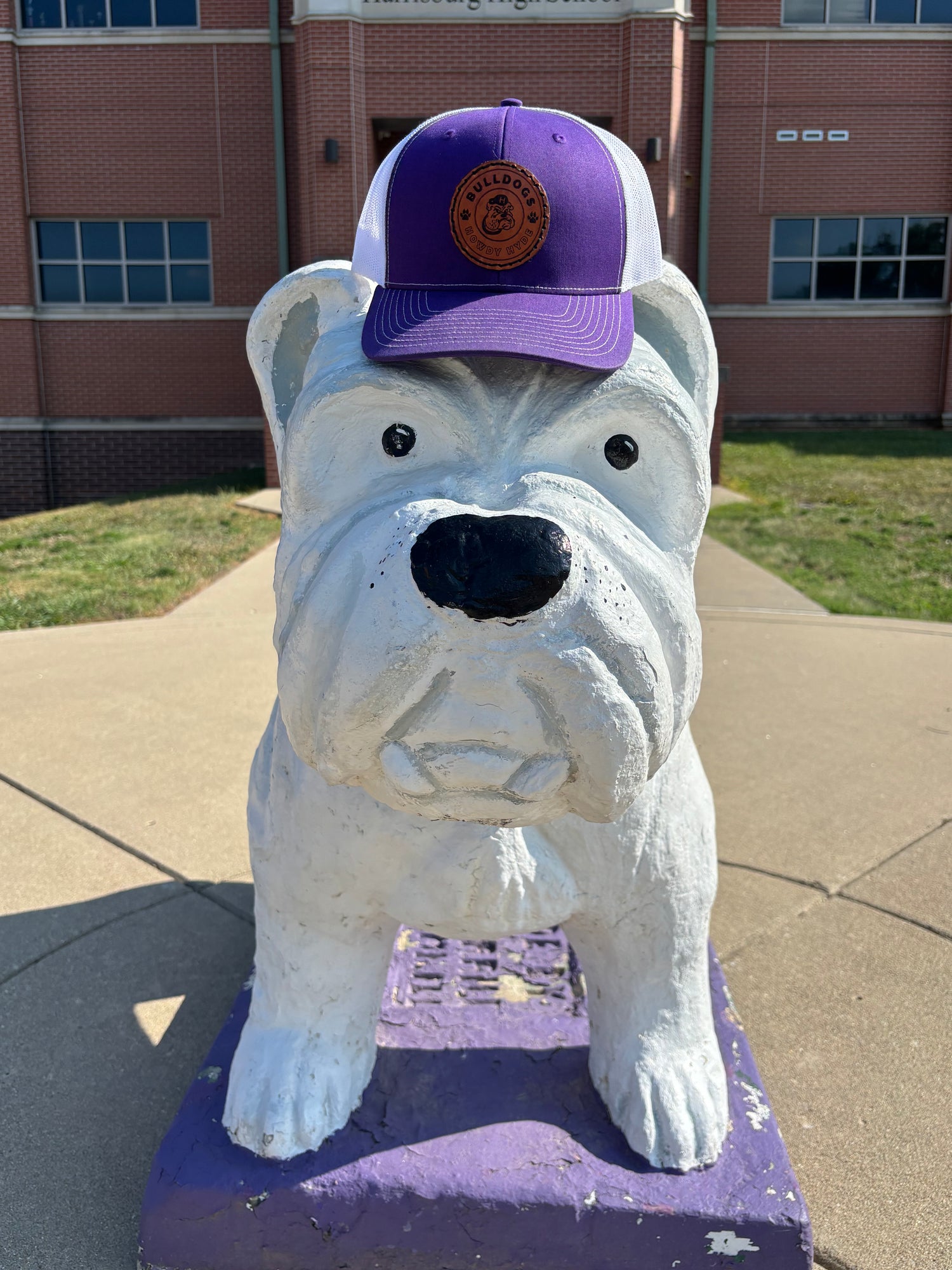 Harrisburg Bulldogs Hats